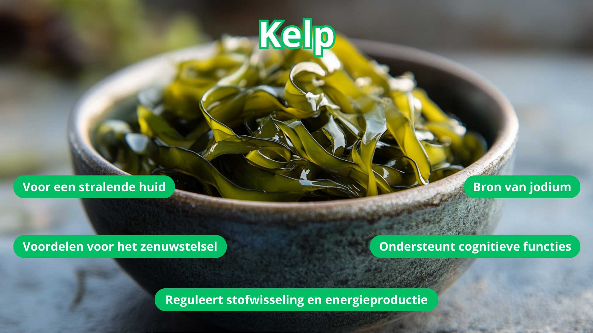 Kelp is een bron van jodium en heeft een tal van gezondheidsclaims 